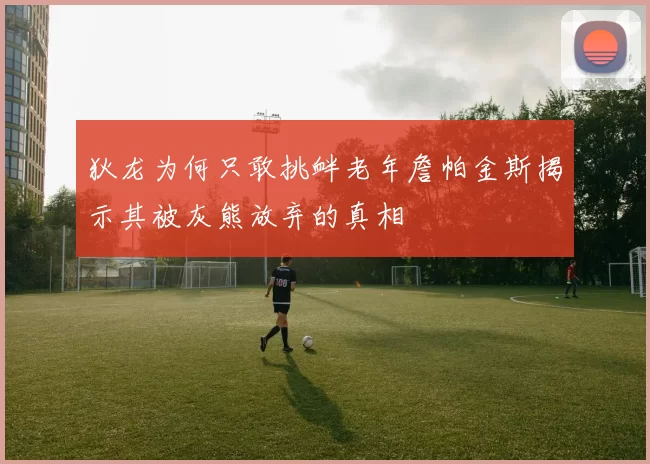 狄龙为何只敢挑衅老年詹帕金斯揭示其被灰熊放弃的真相